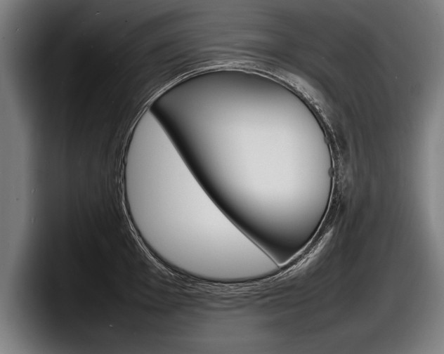 X0000098161001200804171214