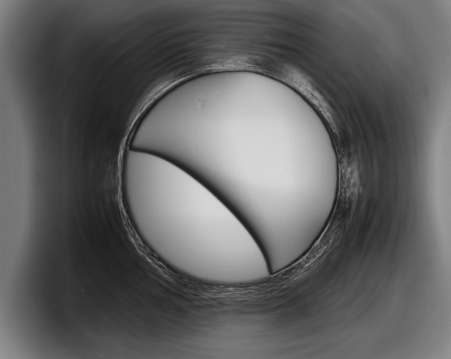 X0000098161002200804171214