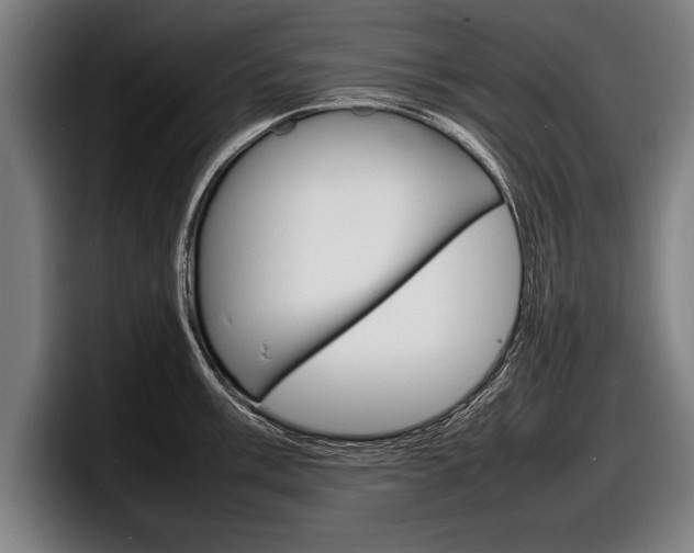 X0000098161003200804171214