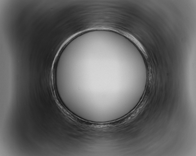 X0000098161004200804171214