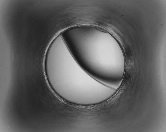 X0000098161005200804171213