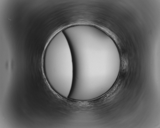 X0000098161006200804171213