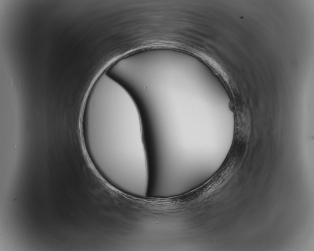 X0000098161007200804171213