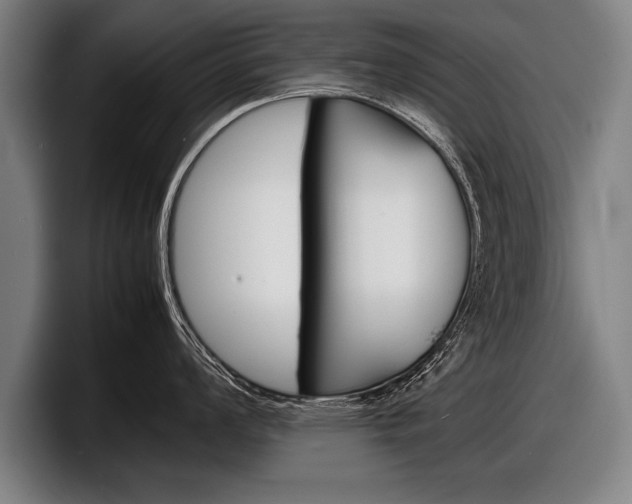 X0000098161008200804171213