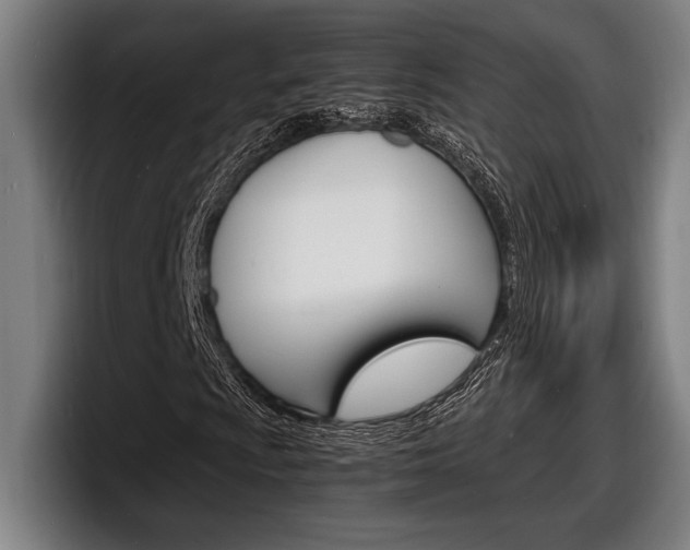 X0000098161009200804171213