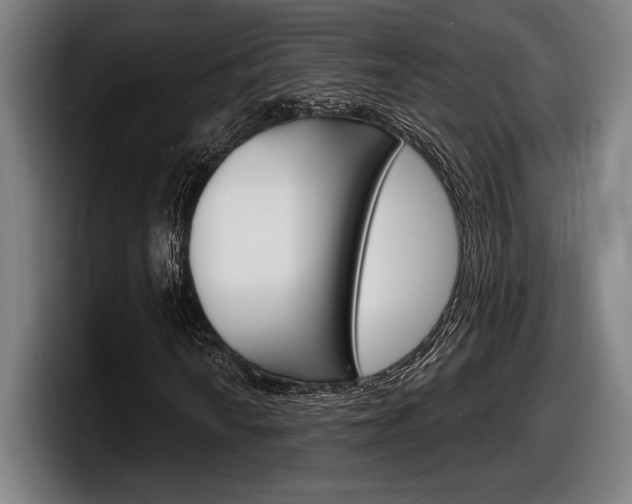 X0000098161010200804171213