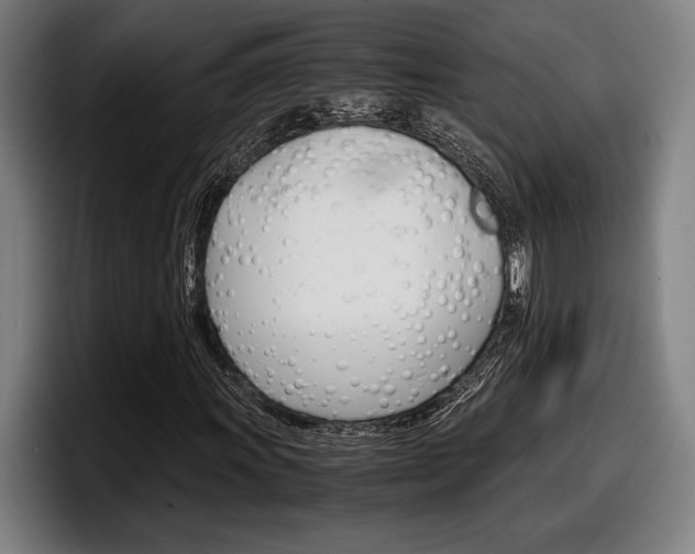 X0000098161011200804171213