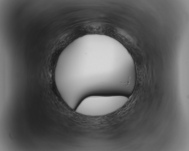 X0000098161013200804171213