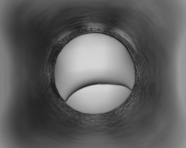 X0000098161015200804171213