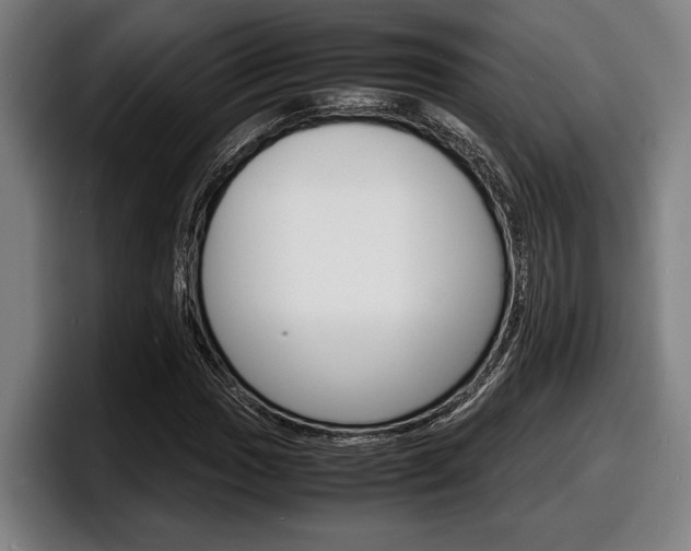 X0000098161017200804171213