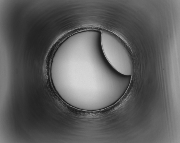 X0000098161022200804171213
