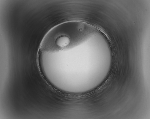 X0000098161024200804171213