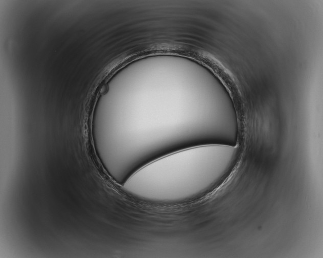X0000098161025200804171213
