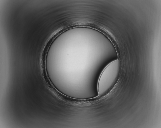 X0000098161026200804171213