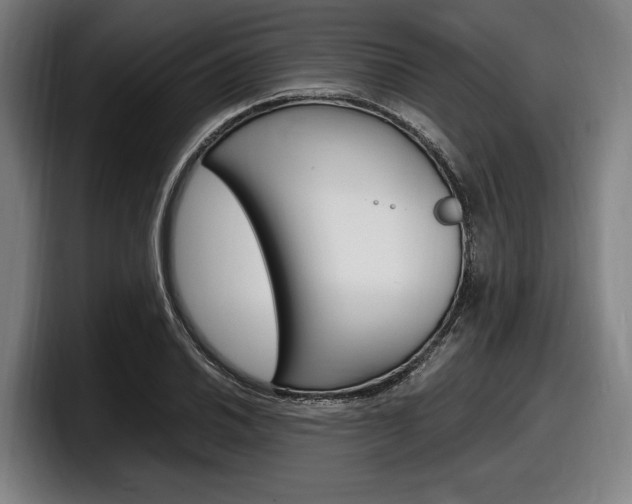 X0000098161030200804171213