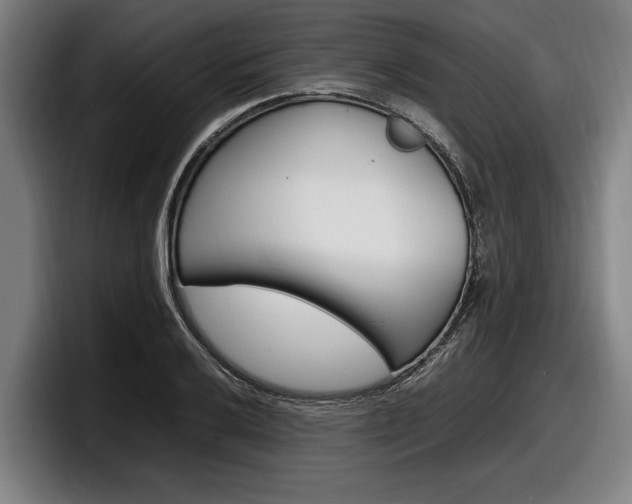 X0000098161032200804171213
