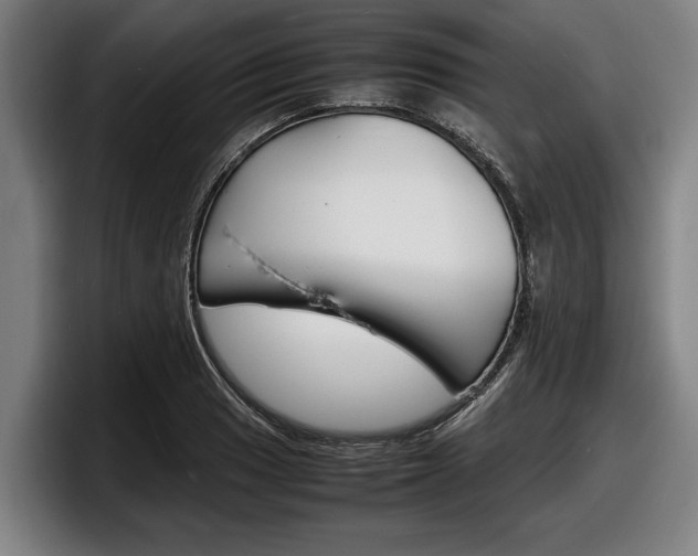 X0000098161033200804171213