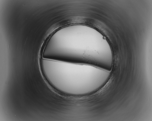 X0000098161034200804171213