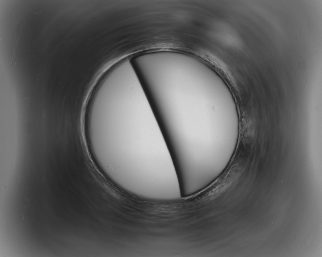X0000098161035200804171213