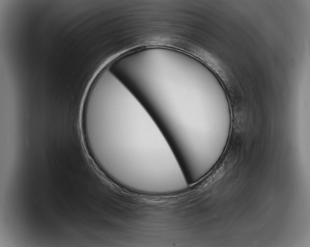X0000098161036200804171213
