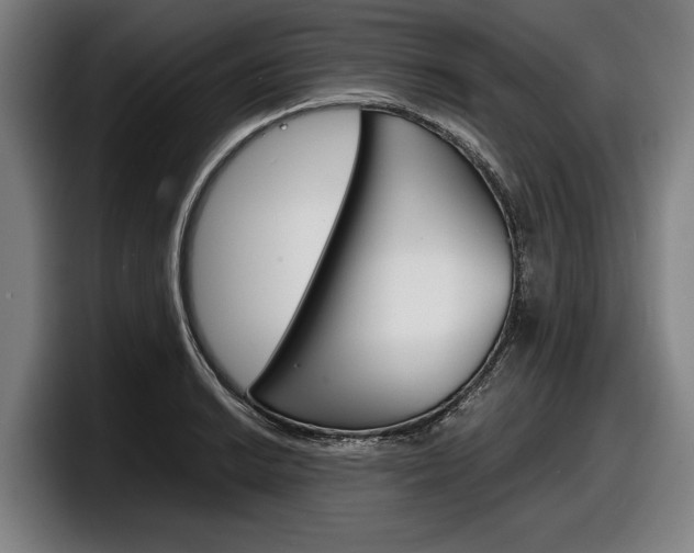 X0000098161038200804171213