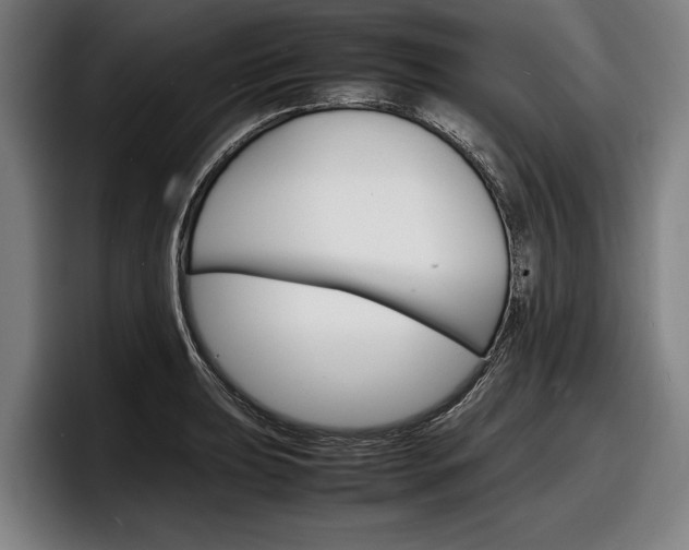 X0000098161039200804171213