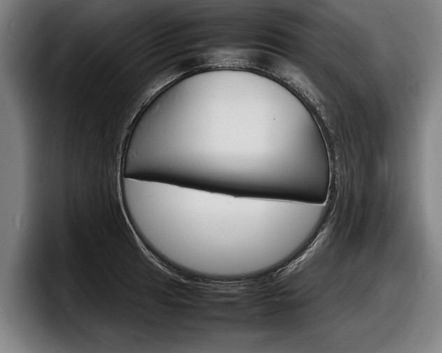 X0000098161041200804171213