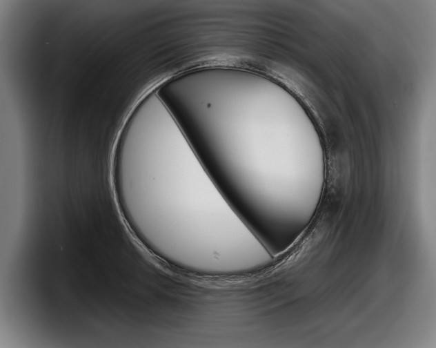 X0000098161042200804171213