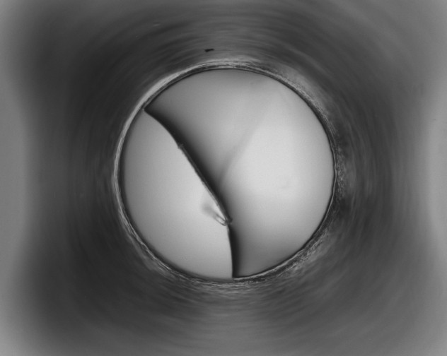 X0000098161044200804171213