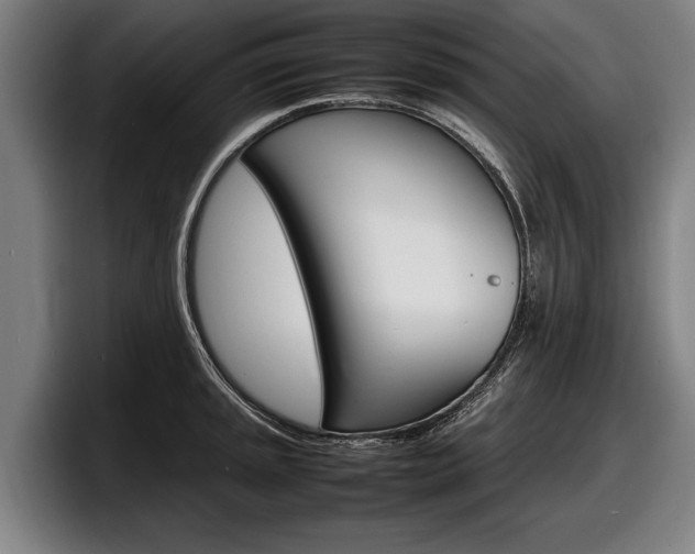 X0000098161045200804171213