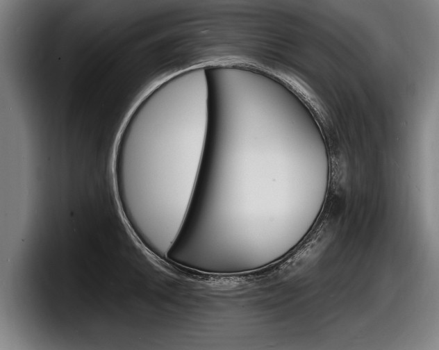 X0000098161046200804171213