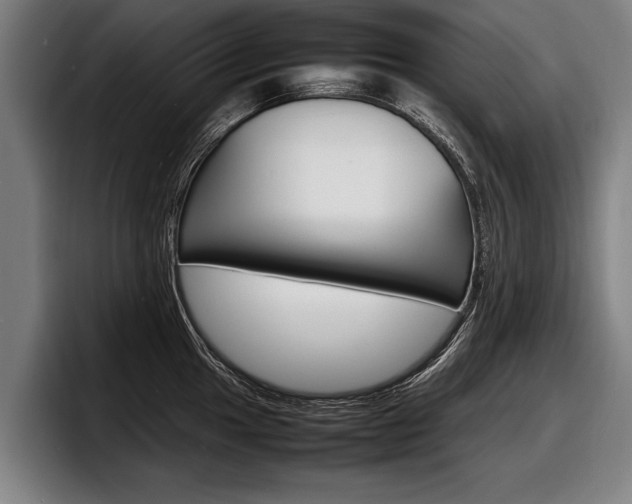 X0000098161049200804171213