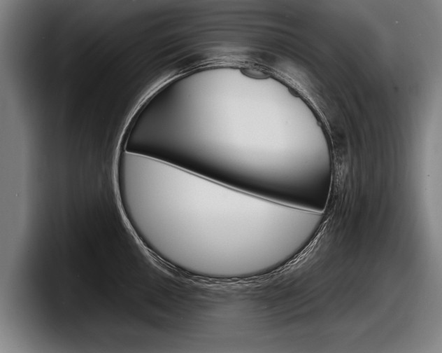 X0000098161050200804171213