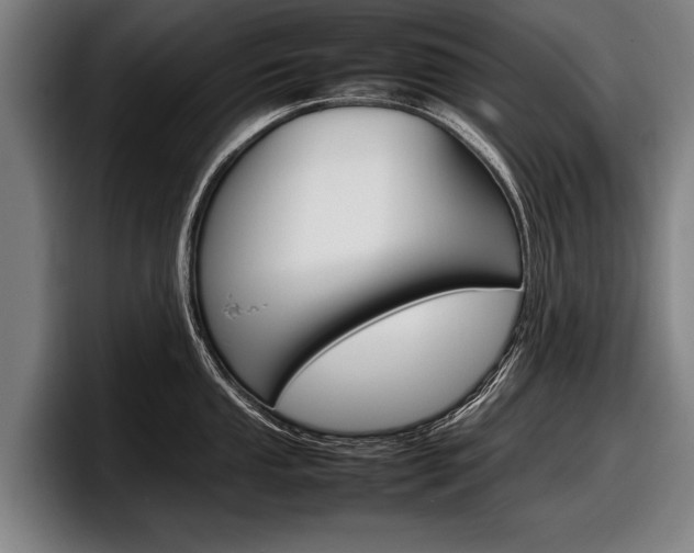 X0000098161053200804171213
