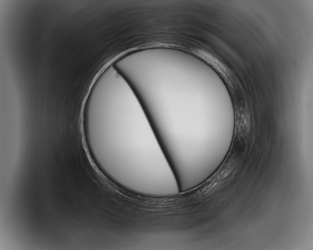 X0000098161055200804171213