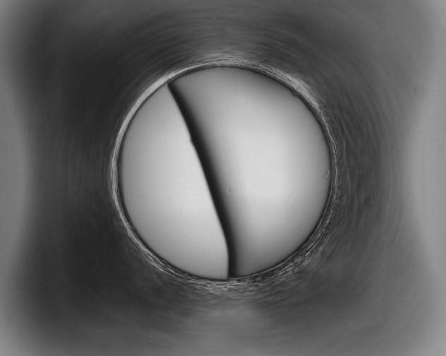 X0000098161056200804171213