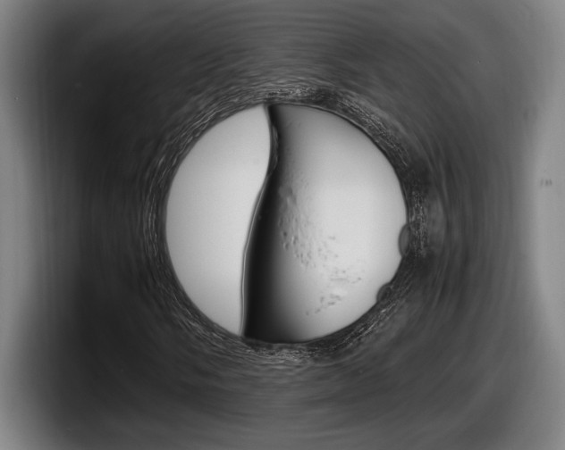 X0000098161058200804171213