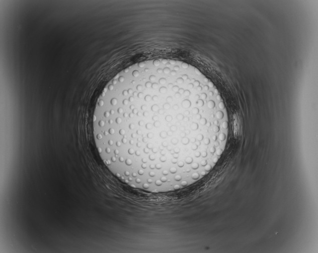 X0000098161059200804171213