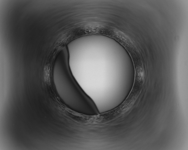 X0000098161060200804171213