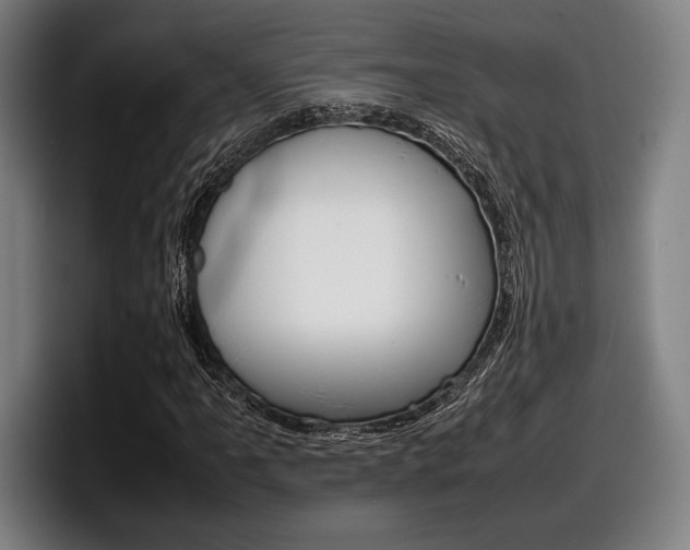 X0000098161061200804171213