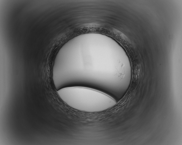 X0000098161062200804171213