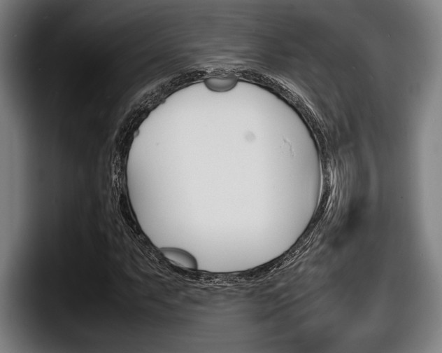 X0000098161063200804171213