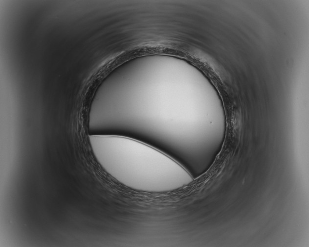 X0000098161064200804171213