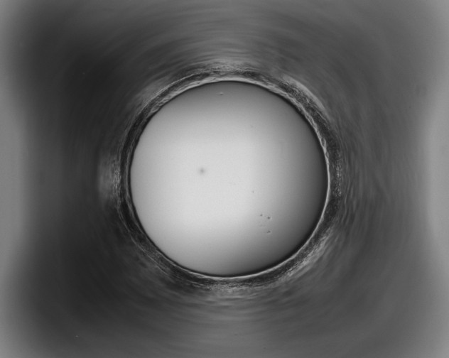 X0000098161065200804171213