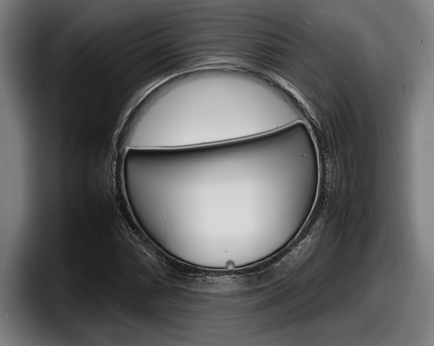 X0000098161066200804171213