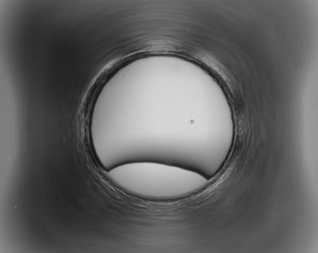X0000098161067200804171213