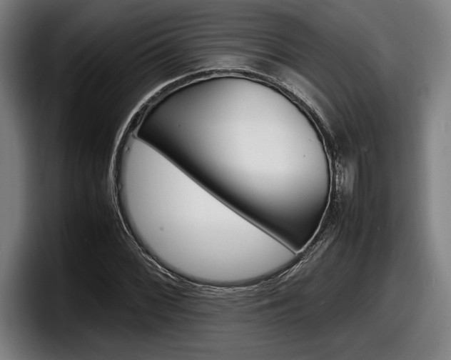 X0000098161068200804171213