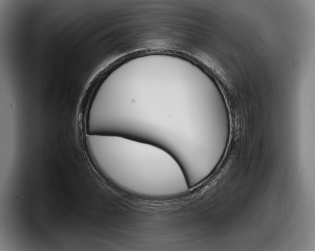 X0000098161070200804171213