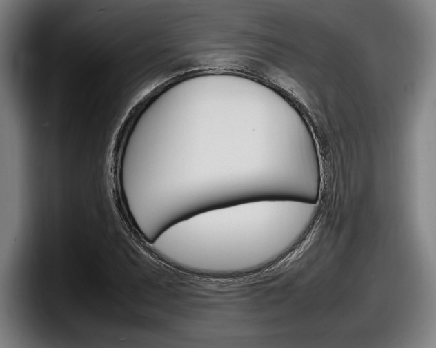 X0000098161071200804171213