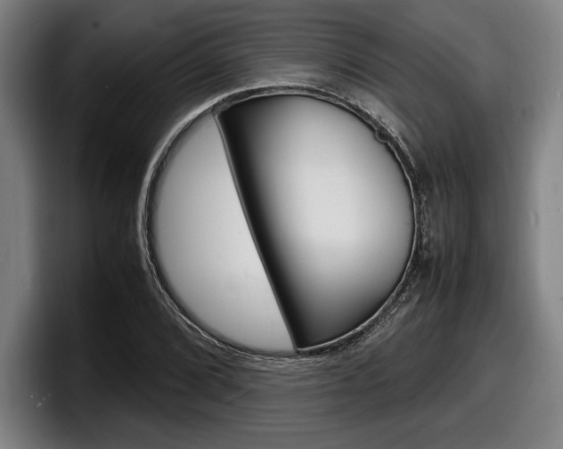 X0000098161072200804171213